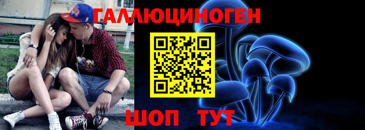 Псилоцибиновые грибы Psilocybine cubensis Кирово-Чепецк